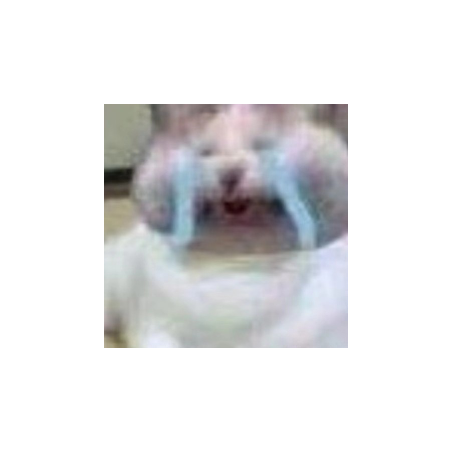 低调