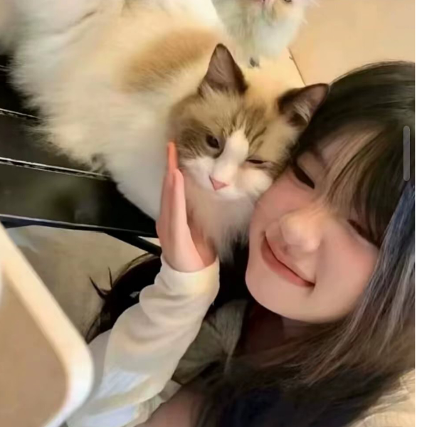 知寒意^