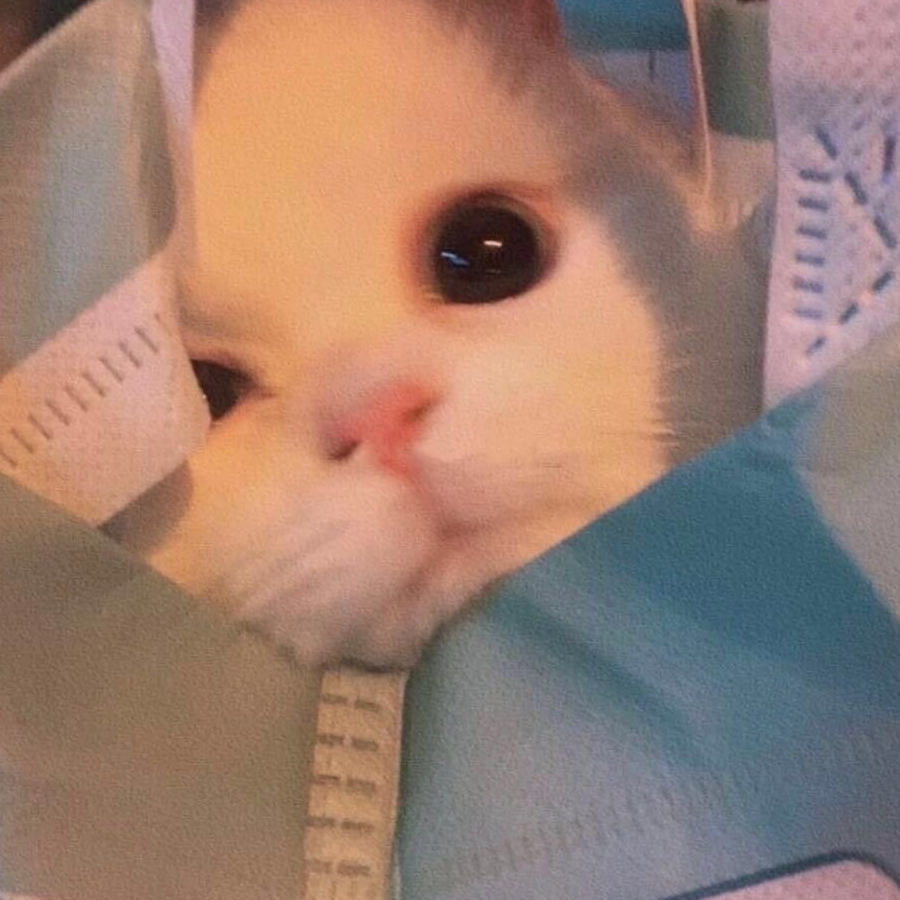 嘟嘟嘟嘟