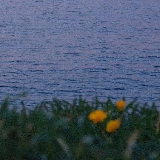 追随沿海日落