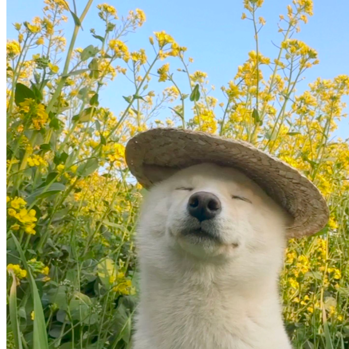 〰️