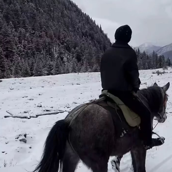 雪下紫禁城