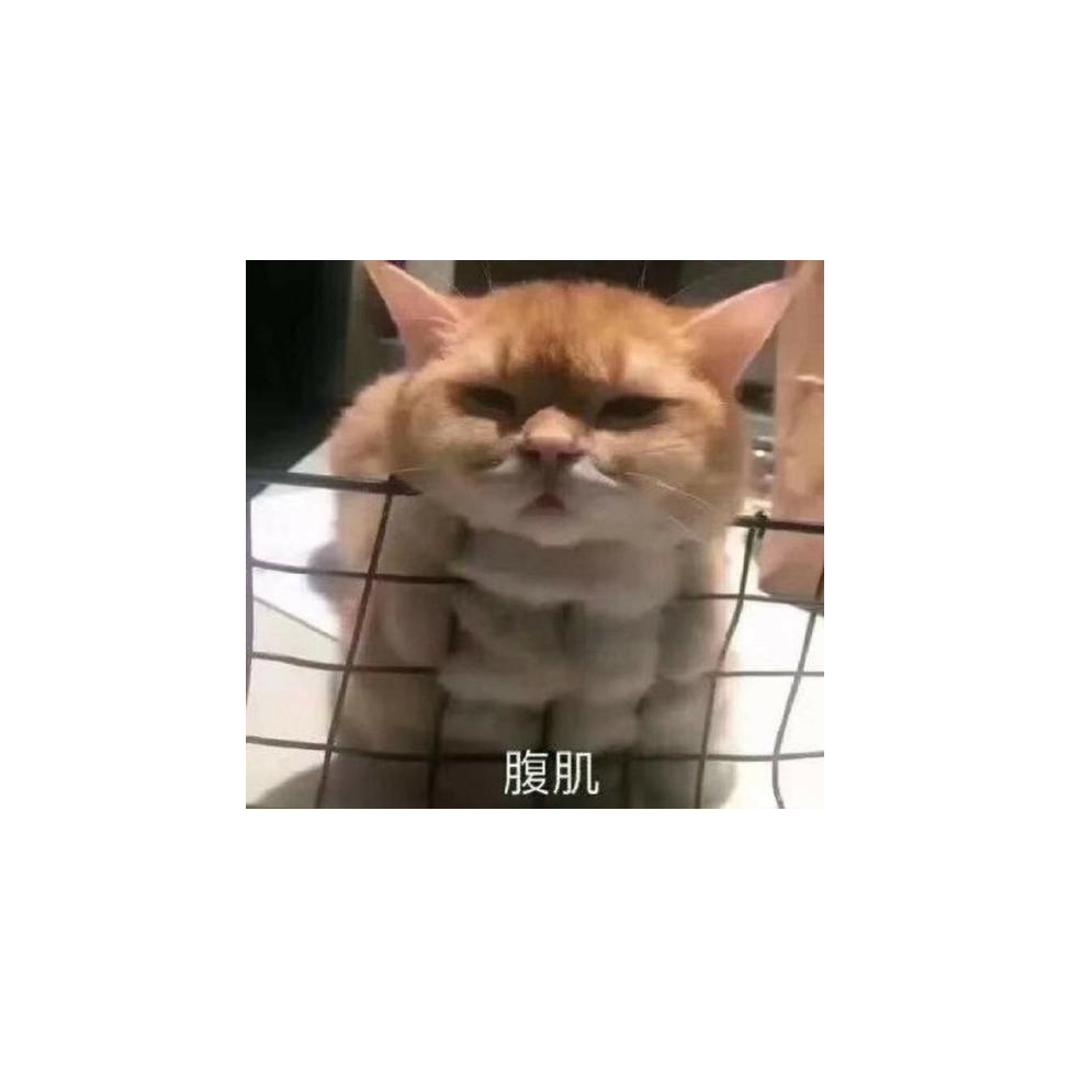 席寻