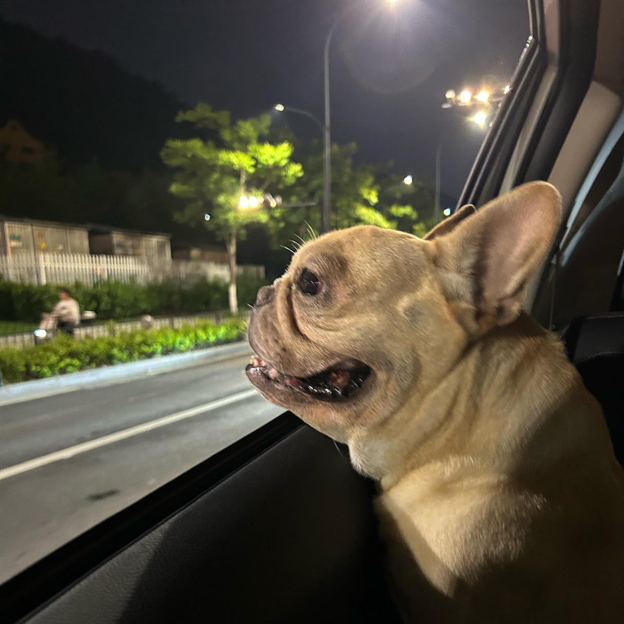 冰帝霜天