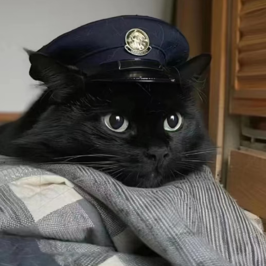 在森林里