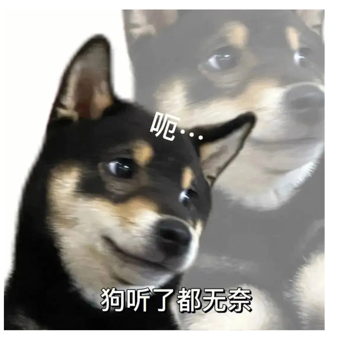 月浮星沉