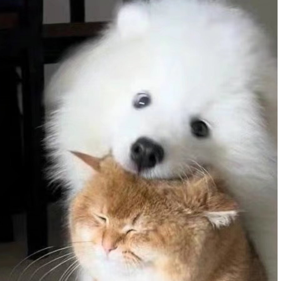 一会儿哈
