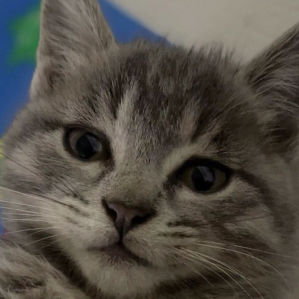 失去了才懂得珍惜^