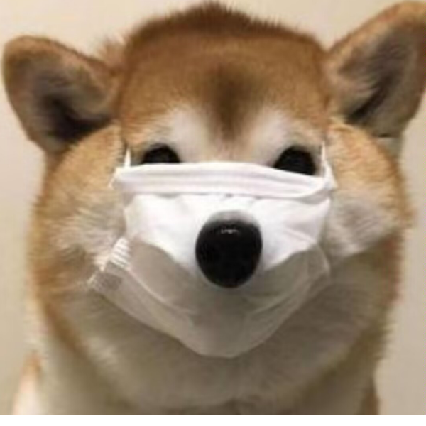 寻必火苗