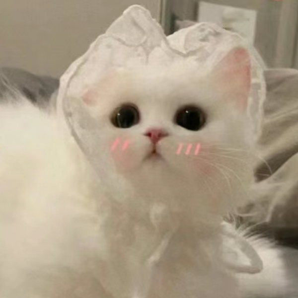 一只雨