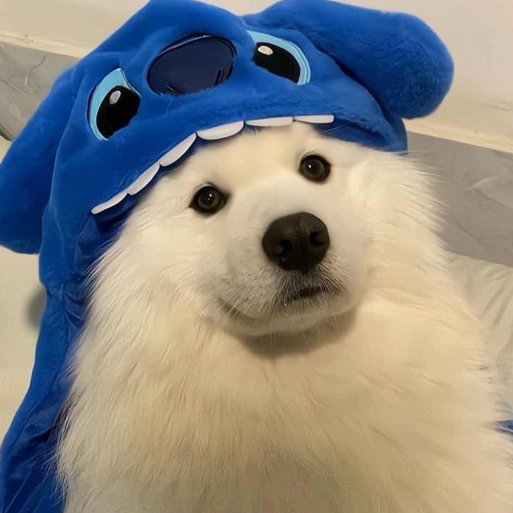 拾果