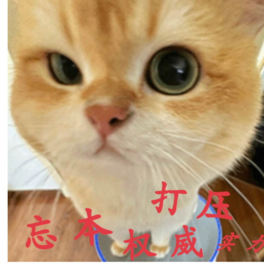 小学生