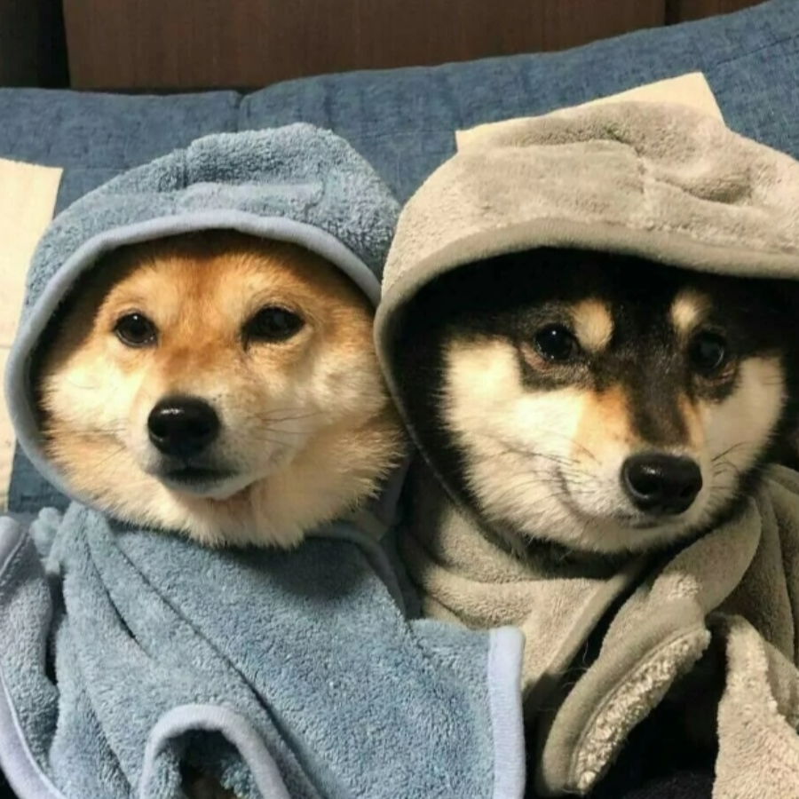 U尼