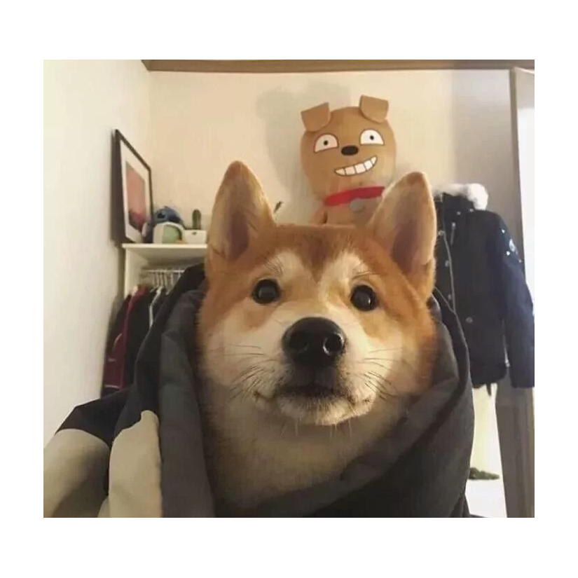 埋葬在深海