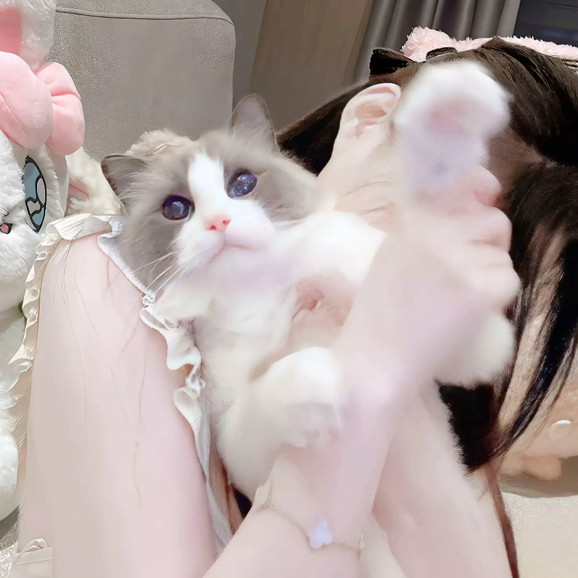 怣