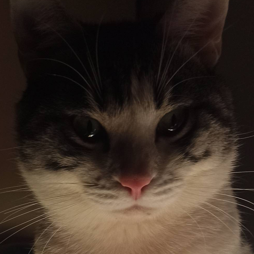 捡起了笑掉的头