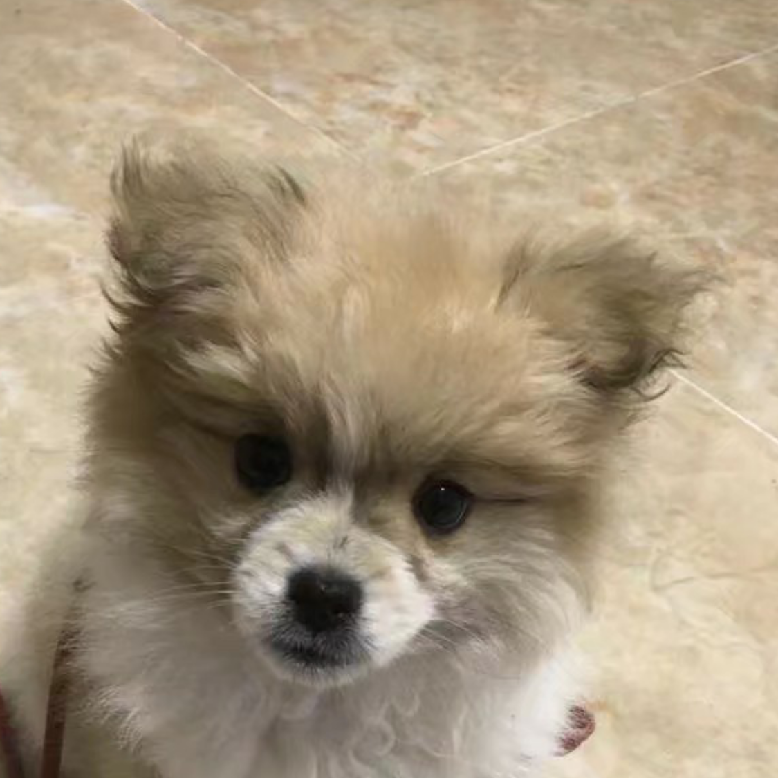 叫我小飞就好了