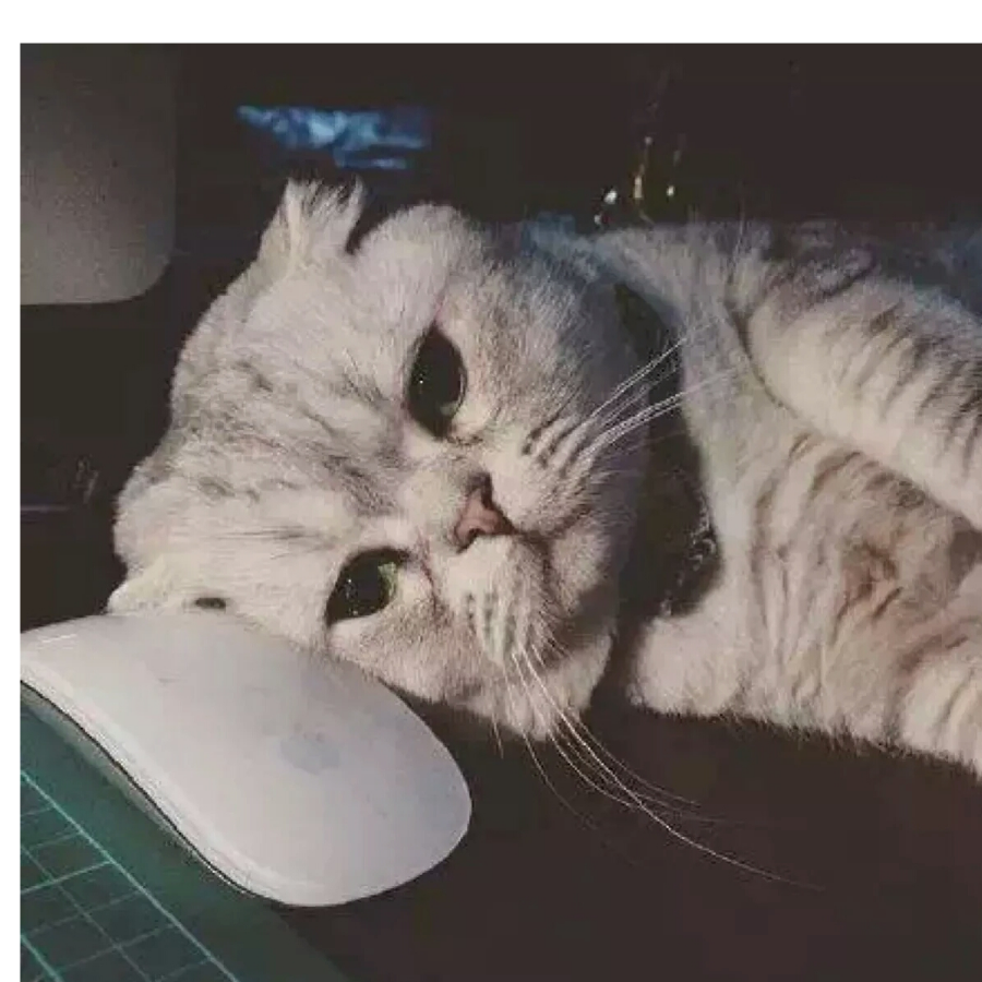 ·