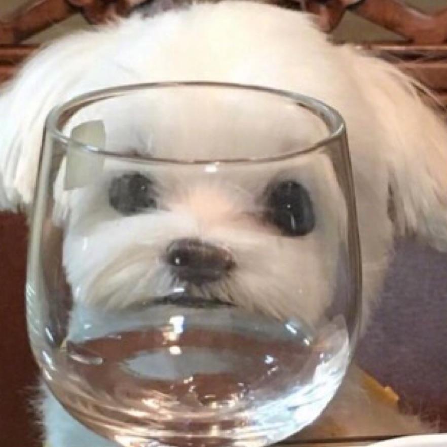 可可爱爱没有脑袋