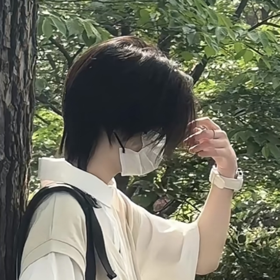 闲与仙人扫落花