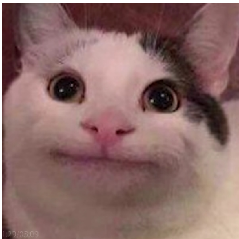 ꧁烟犹美人至꧂