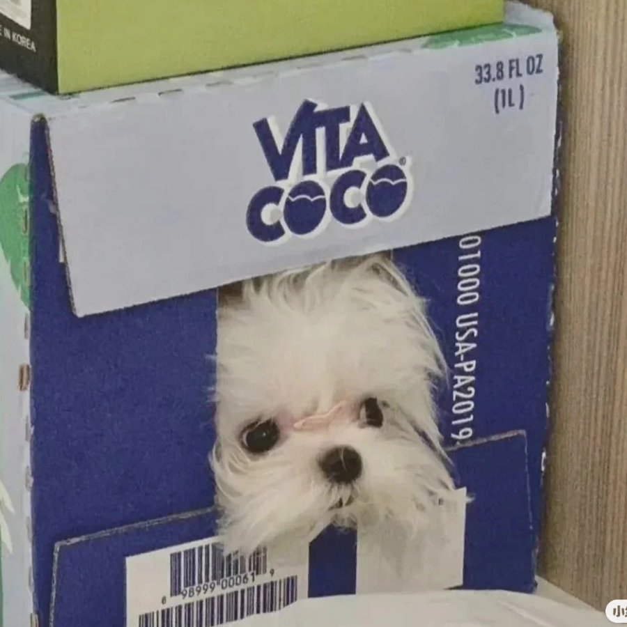 小涵不摆烂