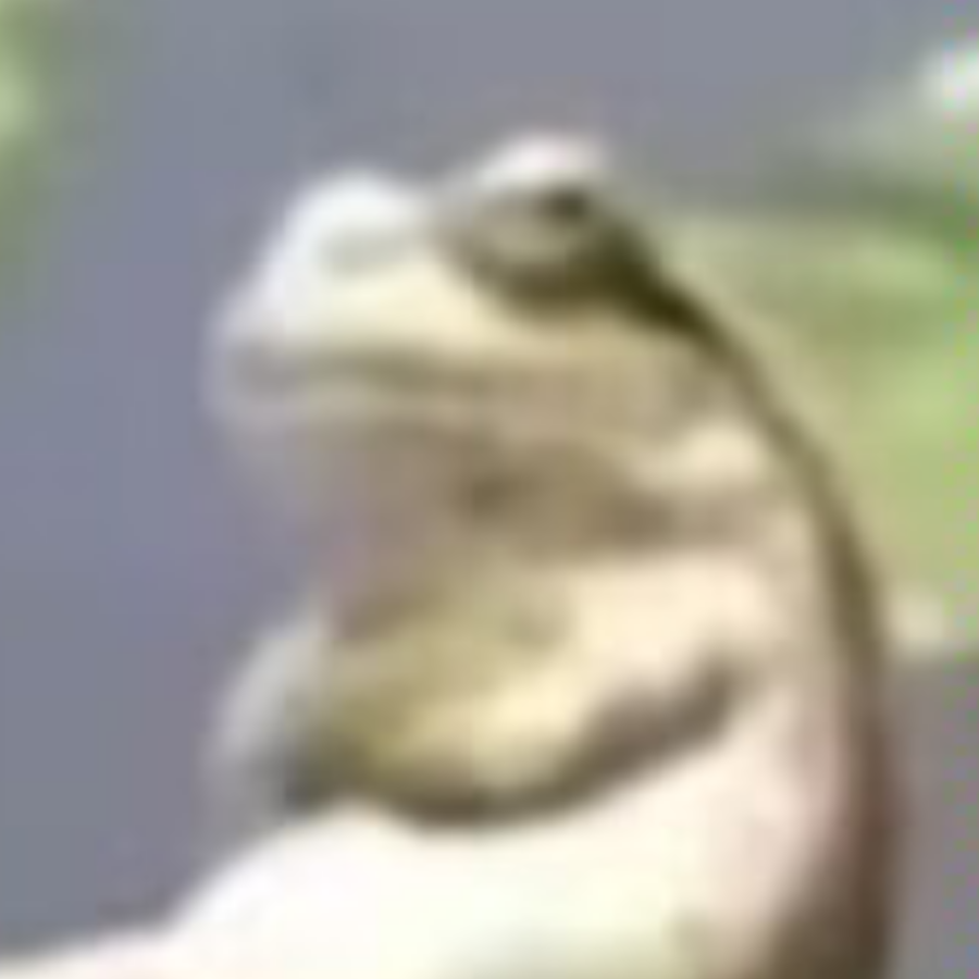 阿泽