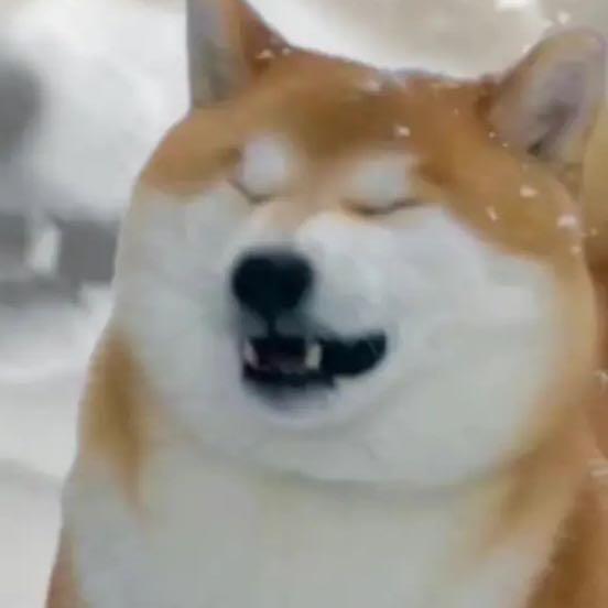 回翡翠梦境睡大觉