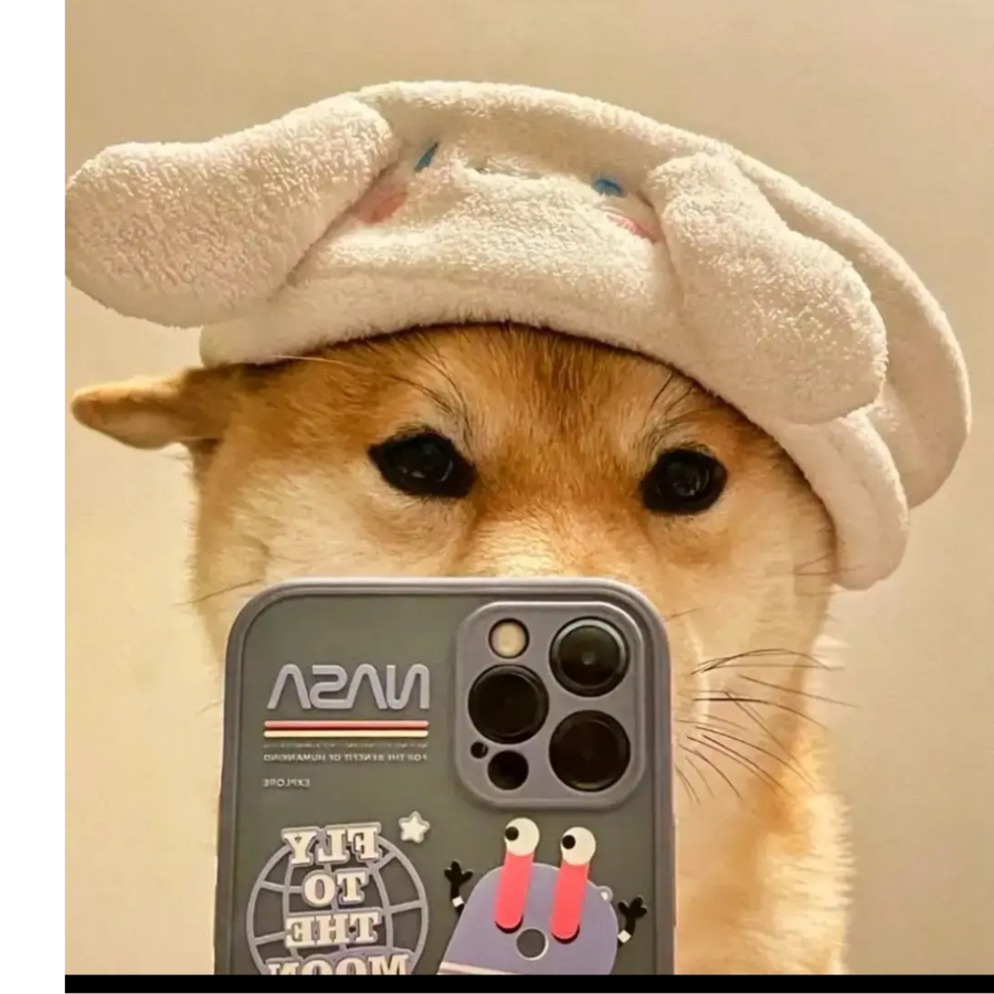 续写落日