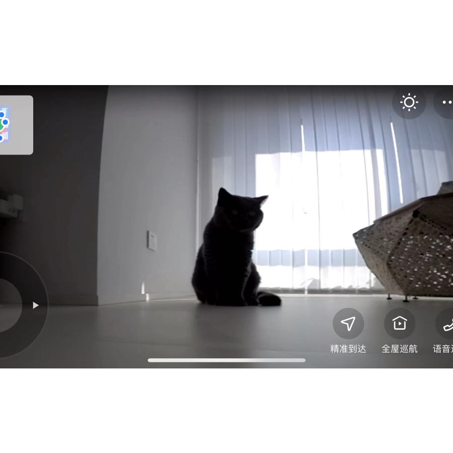 西瓜西瓜大西瓜