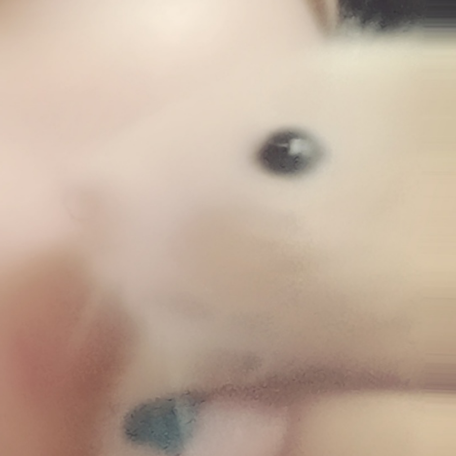 誩