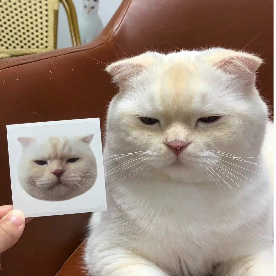 小蓝和他的朋友