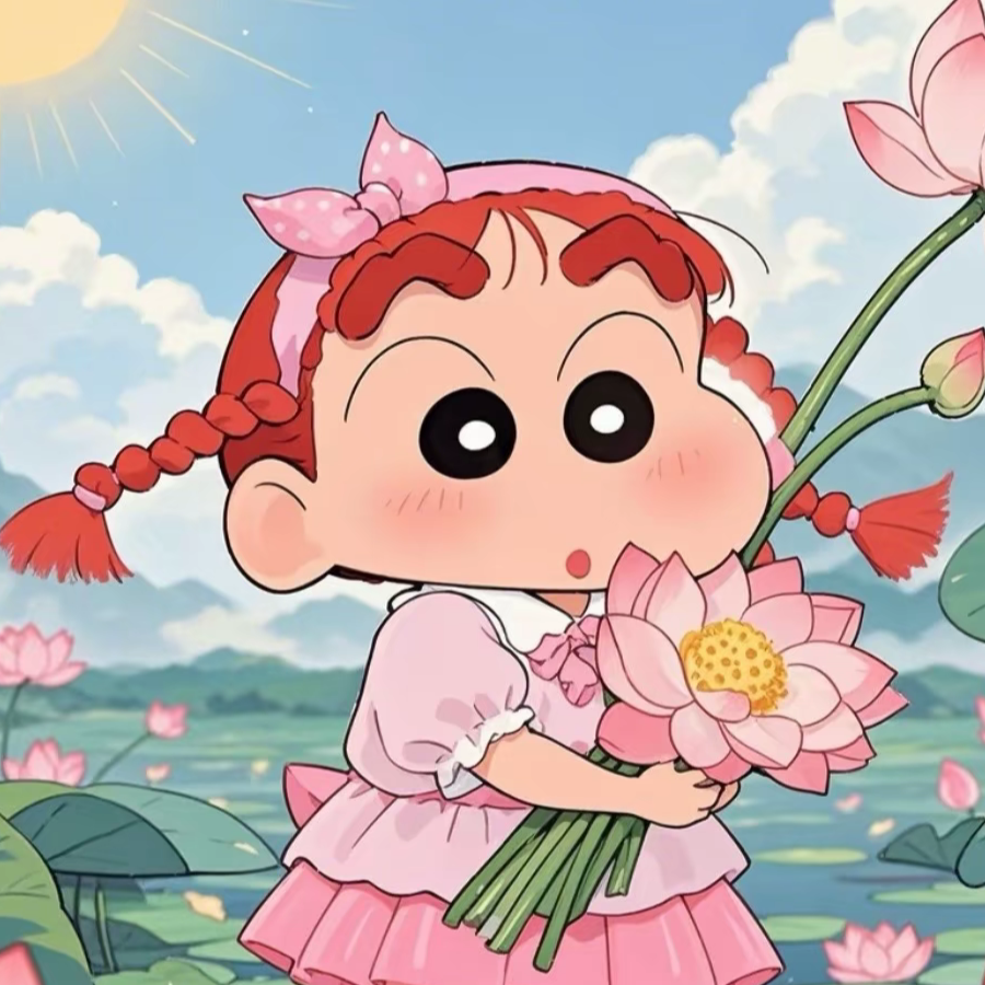 风华夏引