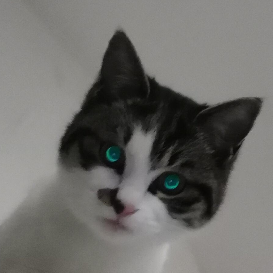 他的名字叫骑士