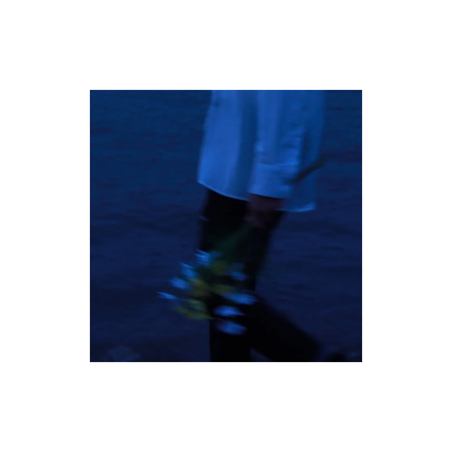 雨森