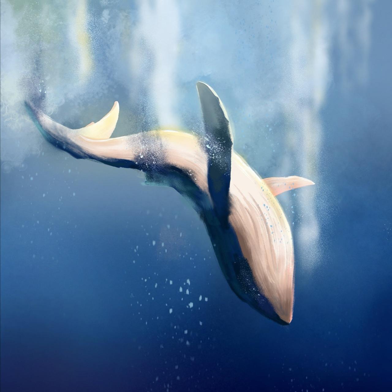 桑海～阕别离