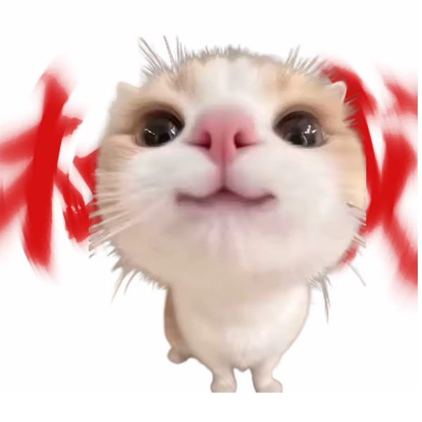 粥粥欣欣