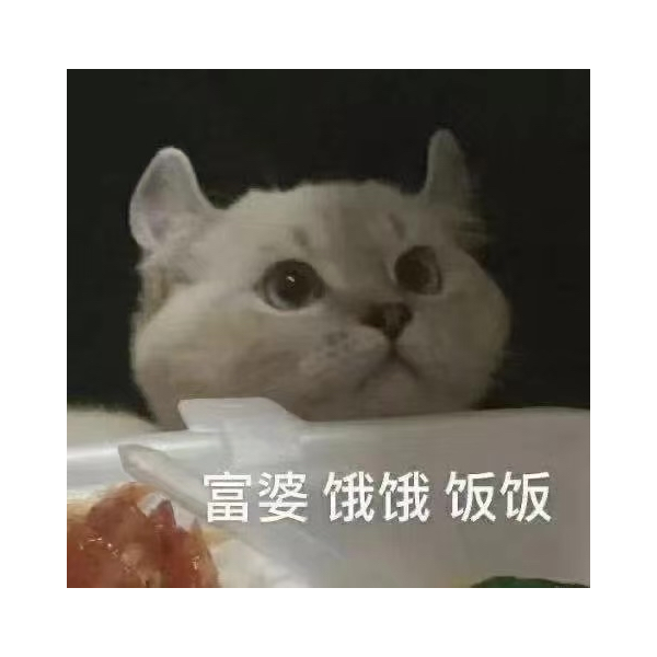 知白守黑