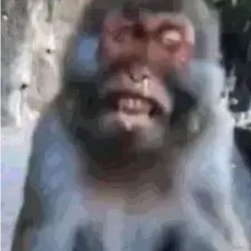 虫扁虫畐汤