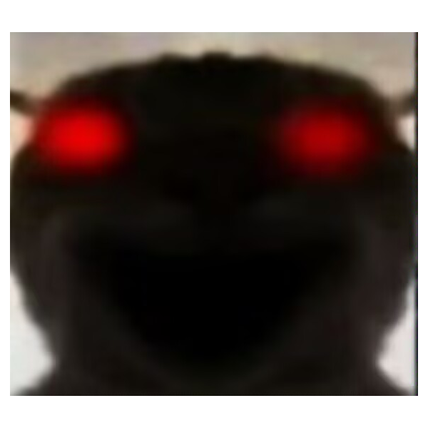 新城队员