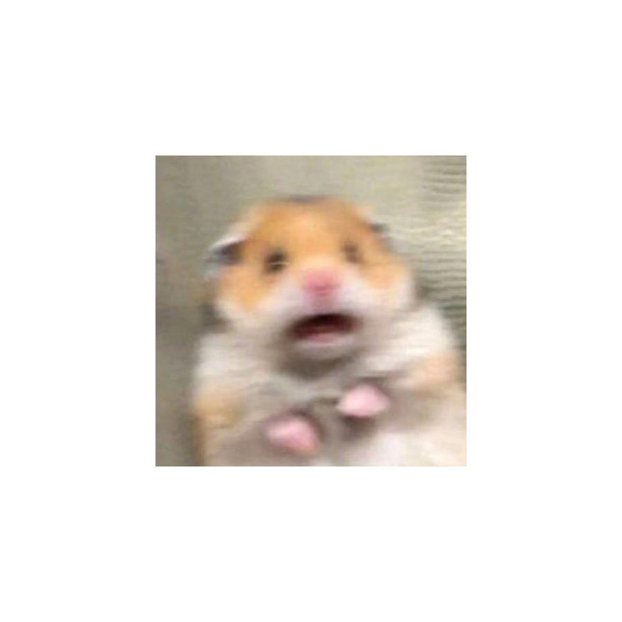 卿