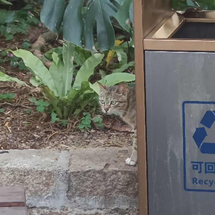 零度空间