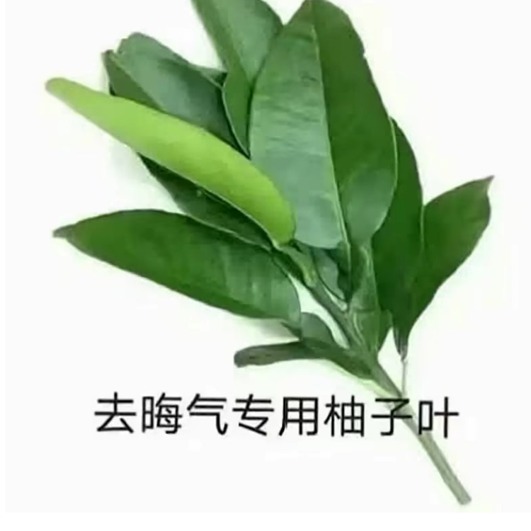柚子叶