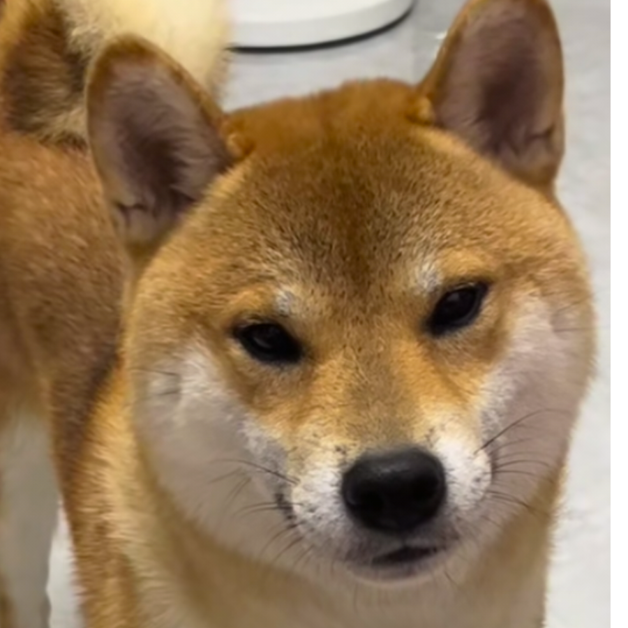 花神
