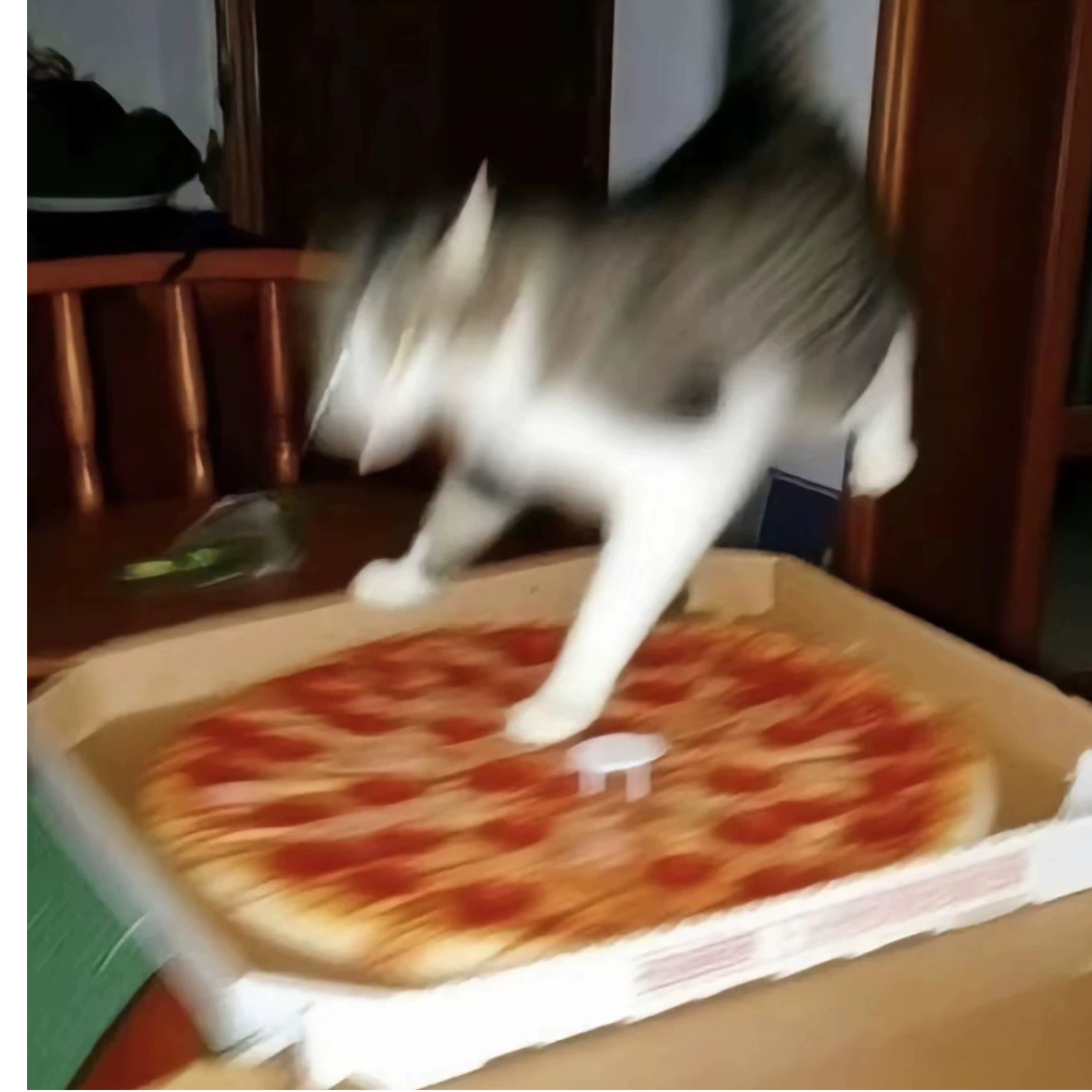 蝉鸣