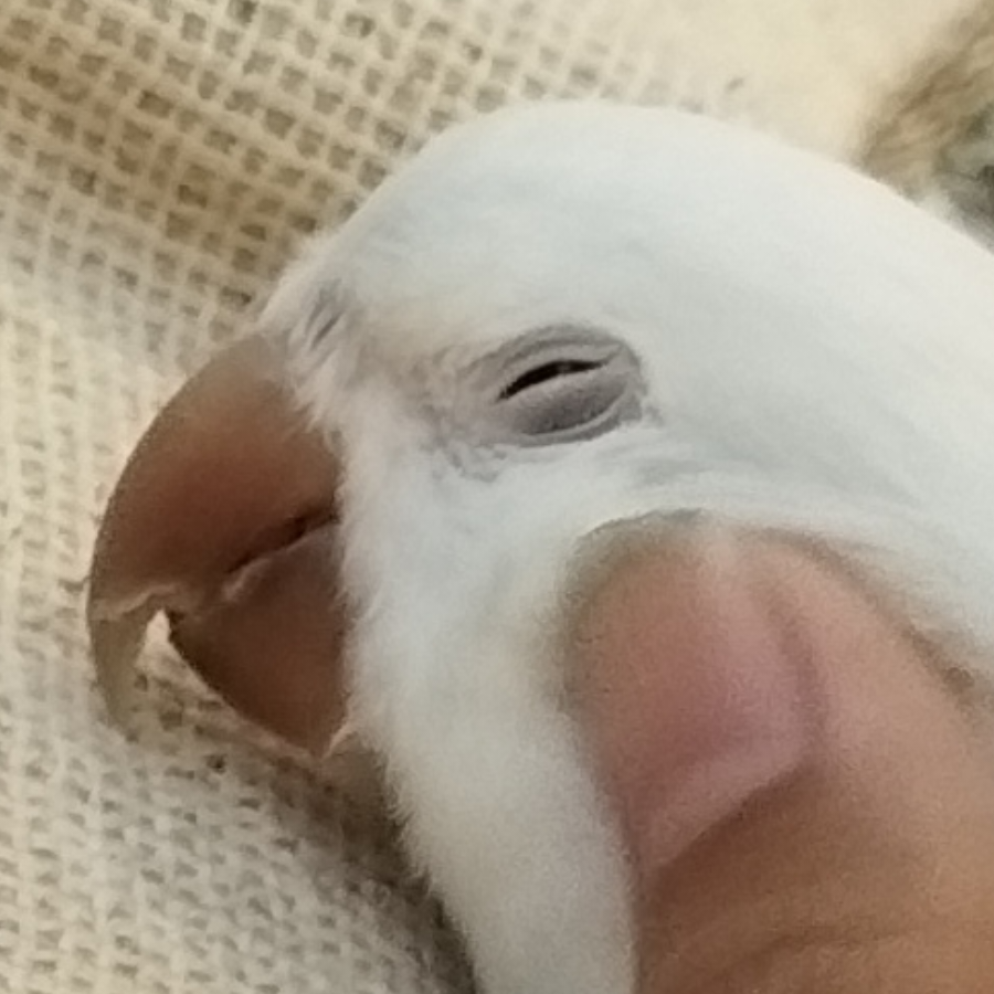 水龙头