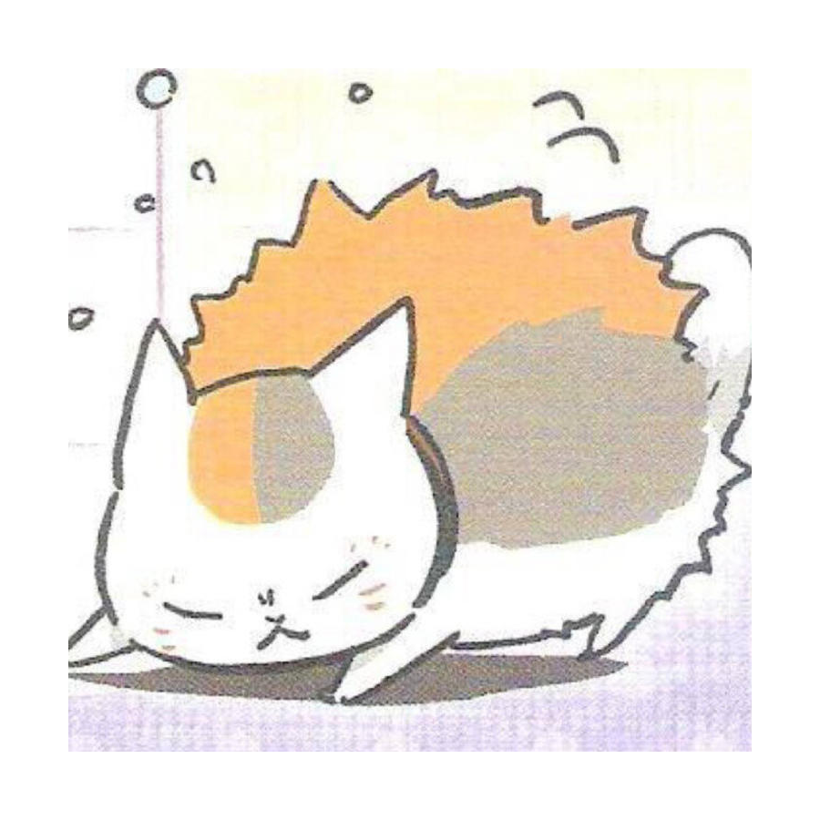 猫咪老师