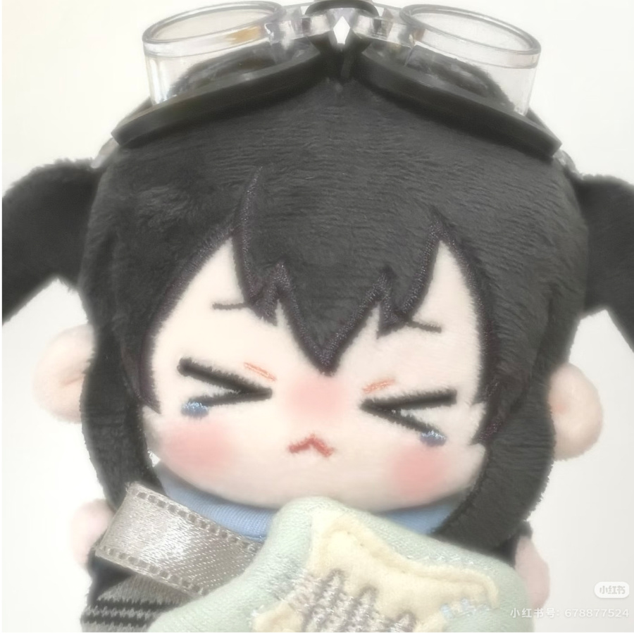诖佳