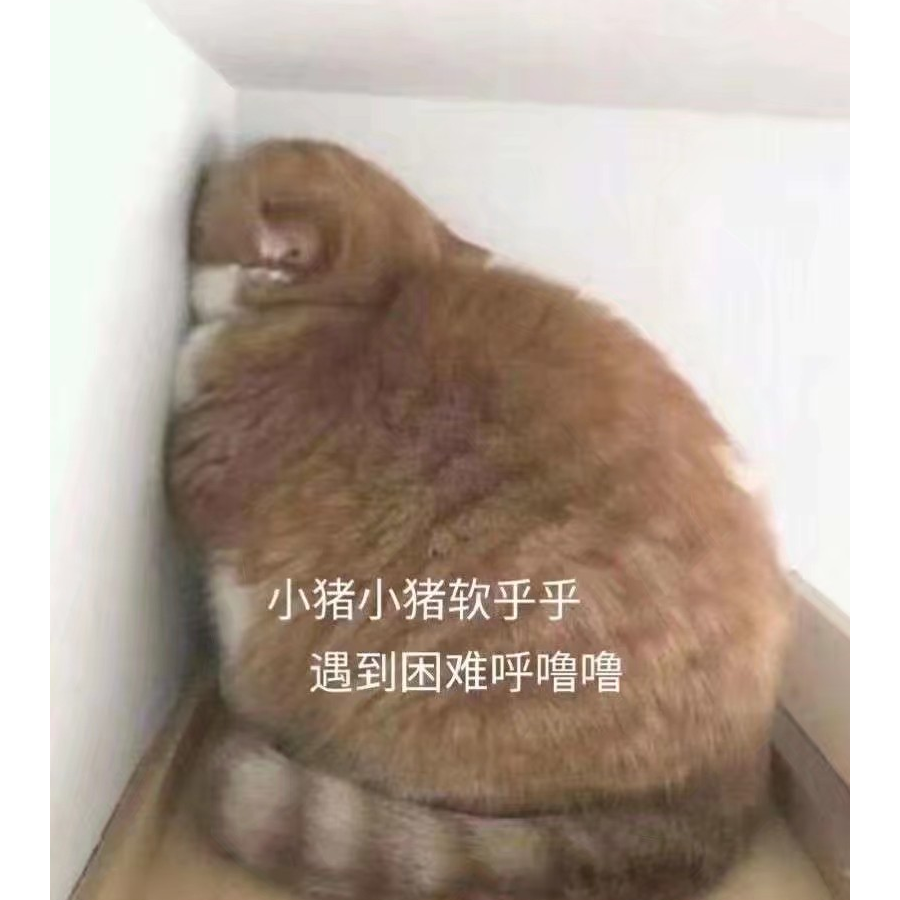 荒时暴月