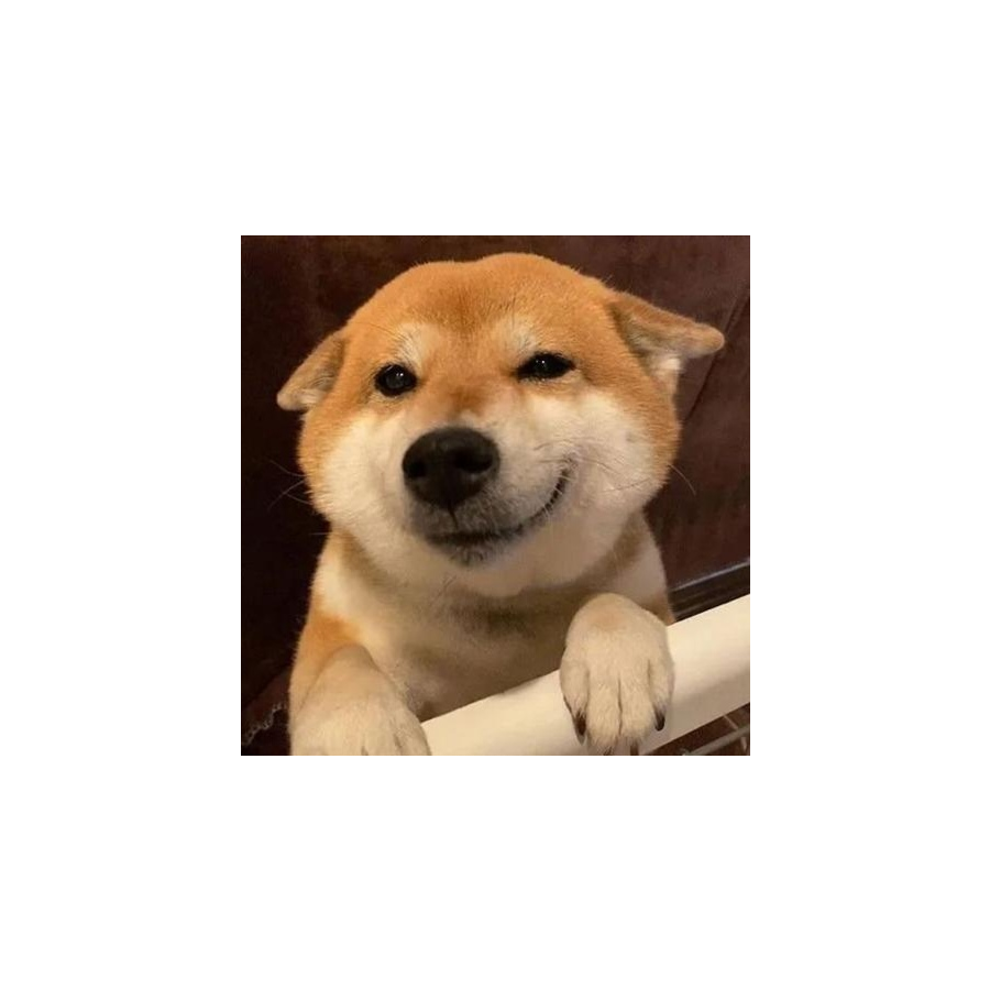 你打不打恁儿